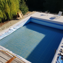 Accessoires et Produits d'Entretien : Maintenez votre Piscine dans un État Impeccable Saint-Etienne